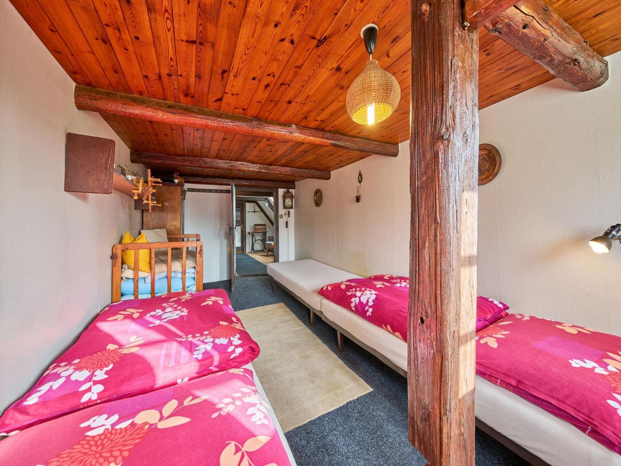 Holiday Home Zdonov By Interhome Teplice nad Metují المظهر الخارجي الصورة